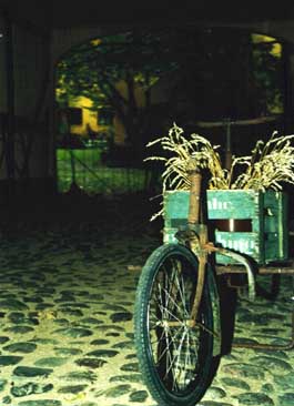 Antik cykel i port til baggård. Foto: Jan Simmen 